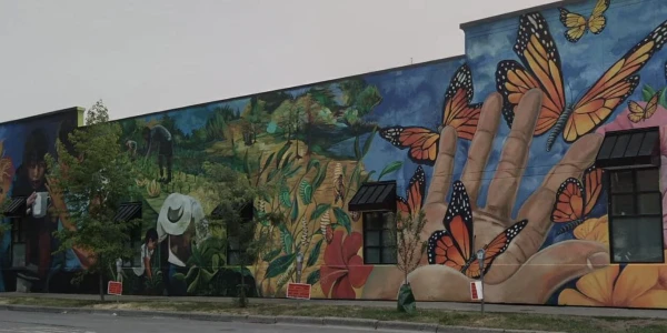 Cayuga Addiction Recovery Services