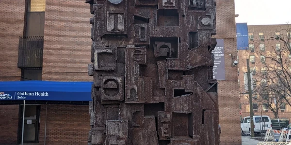 NYC Health + Hospitals - Gotham Health